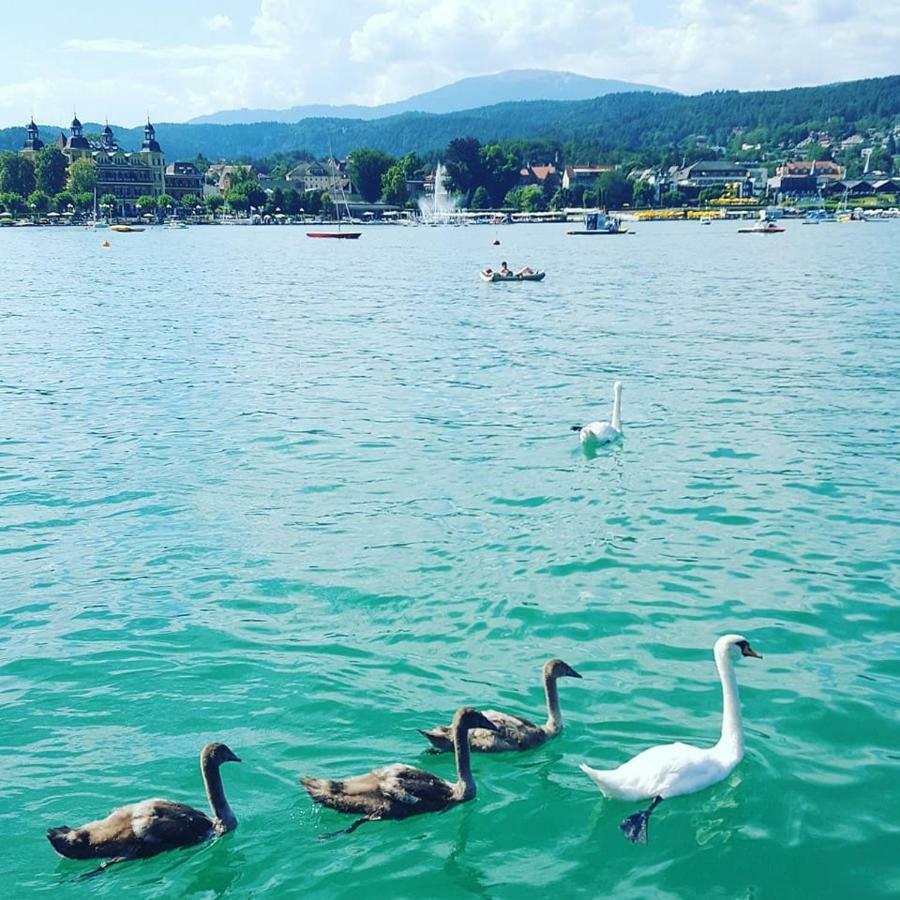 Superior-Apartment Mit Pool Und Seezugang Velden am Wörther See Extérieur photo